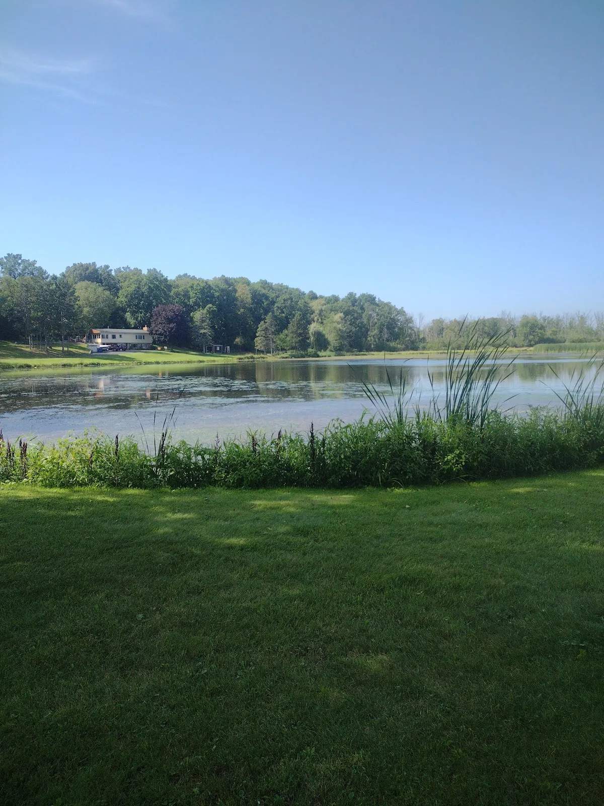 Mill Pond Park — photo 1